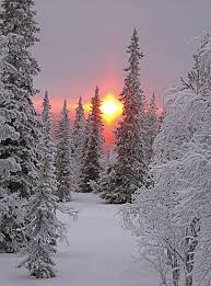 фотографии снега и льда в природе на улицах города Zimnij Les Pejzazhi Zimnie Sceny Zimnij Zakat