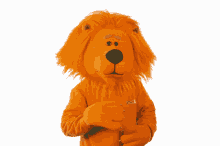 Search, discover and share your favorite svn gifs. Netherlands Gifs Tenor