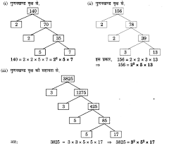 Up Board Solutions For Class 10 Maths Chapter 1 Real Numbers 9 Https Www Upboardsolutions Com Class 10 Maths 10thmathso Maths Solutions Math Real Numbers
