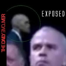 Stream The Daily Evolver