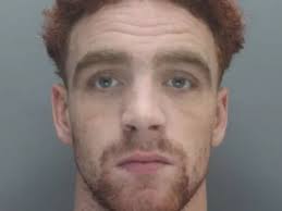 Burglar stole firearms from pensioner's house for drug dealers