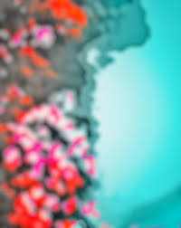 Best New Cb Backgrounds Free Download 2021 What makes background pictures different? best new cb backgrounds free download 2021