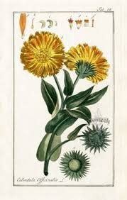 Pin On Scientific Ilustracion