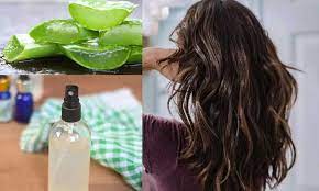 Any skin issue like rashes, sunburns, itching, dryness, insect bites, etc, can be healed with the aloe vera spray can be used on damp or dry hair. Aloe Vera Ginger Hair Spray A Simple Hair Hackto Own Those Healthy And Shiny Tresses