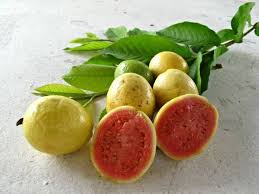 Stomprite Entertainment Trini Food Caribbean Recipes Fruit