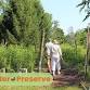 Custer Preserve Native Garden Maintenance