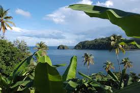 Food and lodging safe in nature hotels restaurants apartments cottages guest houses. Klimatabelle Dominica Klima Wetter Und Temperatur