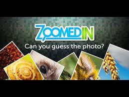 Zoomed In Picture Game Level 1 20 Kindergarten Pictures Guessing Games Girl Scout Brownies Meetings