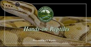 Parks & Recreation "Hands-on Reptiles” with P.T. Reptiles