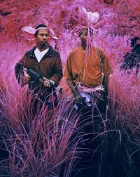 Color infrared film portrays the world in a pink palette which the photographer uses to subvert the ways in which congo and the african continent are traditionally photographed. In Richard Mosse S Pink Congo Death Is More Than Just A Number Elephant