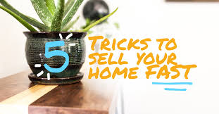 And please do share your own ideas in the comments! Sell Your House Fast 5 Tips And Tricks Daveramsey Com