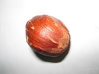 Candlenut, candleberry, indian walnut, varnish tree atau kukui nut tree), juga dikenali sebagai kemiri di indonesia, ialah salah satu spesies tumbuhan dalam famili euphorbiaceae. Buah Keras Wikipedia Bahasa Melayu Ensiklopedia Bebas