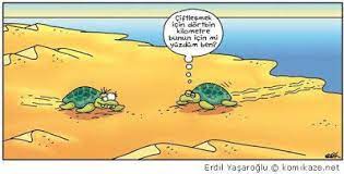 komik karikaturler kaplumbaga ciftlesme karikatur komik kaplumbaga