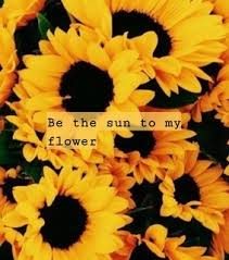 Maybe you would like to learn more about one of these? Flower Wallpaper Images On Favim Com