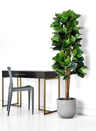 The real plants can be a bit finicky, so i'm sharing real life now that i've tried every type of fake fig trees from real to faux and brand after brand, today i'm sharing the best faux fiddle leaf fig trees and how to make. Shop 6ft Artificial Fiddle Leaf Fig Tree Faux Fiddle Trees