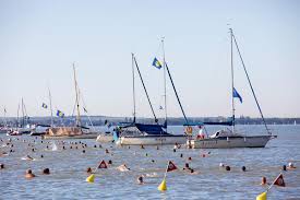 A vállalkozó kedvűek révfülöpről indulva, balatonboglárra érkezve ússzák át a balatont. Gih9ai6sek0oim