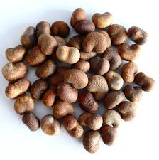 Image result for Adansonia digitata