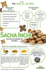 Sacha Inchi Diet And Nutrition Nutrition Sacha Inchi