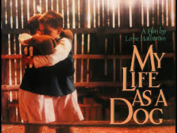 My Life as a Dog Summary, Trailer, Cast, Where to Watch and More