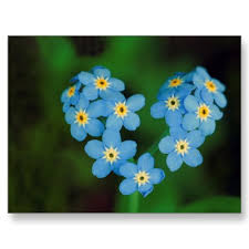 We did not find results for: Maibelopah Forget Me Not Yang Mencintai Tak Kan Melupakan