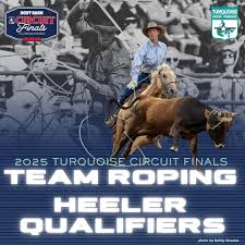 Image result for Turquoise 1983 Roper