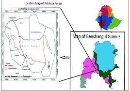 Image result for Diplolophium africanum