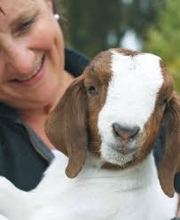 Edible Monterey Bay: Spring 2013