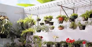 Metode vertical garden memang menjadi kegemaran banyak orang, karena. Membuat Taman Di Lahan Yang Sempit Kompasiana Com