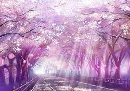 Views of (and from inside. Cherry Blossom Tree Anime Wallpapers Top Free Cherry Blossom Tree Anime Backgrounds Wallpaperaccess