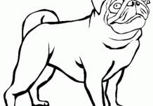 Doug the pug coloring book fresh pug coloring pages printable coloring home puppy coloring pages dog coloring page animal coloring pages. Puppy Coloring Pages Coloring Pages For Kids And Adults