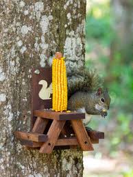 Squirrel Mini Picnic Table Squirrel Feeder Wood Handmade Approximately 10 In X 10 In X 8 In Carved Ready To Hang With Inc In 2020 Picnic Table Squirrel Feeder Squirrel