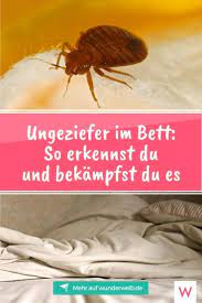 Ungeziefer im bett » erkennen & bekämpfen wenn tierliebe zur sucht wird | sächsische.de mini gäste wc | ferienhaus strandparel in julianadorp aan. Ungeziefer Im Bett So Erkennst Und Bekampfst Du Es Wunderweib Ungeziefer Hausmittel Fur Die Gesundheit Tipps