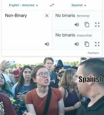 El género no binario se aplica a las personas con una identidad de género fuera del binarismo de género, dado que su identidad autodesignada no se percibe totalmente masculina o femenina. English Detected Non Binary Spanish No Binaria Feminine No Binario Masculine Feedback