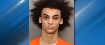 Charleston man suspected of setting fire to concrete company's trucks: DCSO