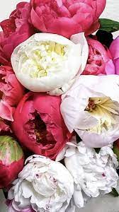 Find bulk flowers now at getsearchinfo.com! Wholesale Flowers In 2021 Wholesale Flowers Wholesale Fresh Flowers Wholesale Flowers Online