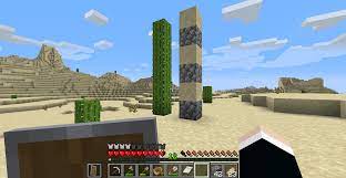 Thank you so much for all the information i have learned from this forum. I Found A 6 Block Tall Naturally Generated Cactus Is This Rare Java Minecraftseeds