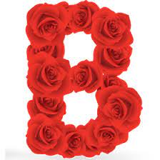 Abecedario Hecho Con Rosas Rojas Red Roses Alphabet Abecedario Lettering Alfabetos Elegantes Rosas Rojas