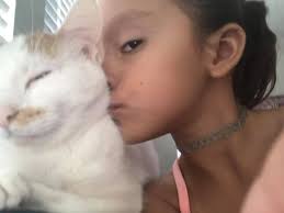 Lost cat in Buda, TX, Sunfield community