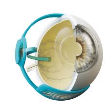 Augenmedizin Antibiotika Bei Gersten Und Hagelkorn Nicht Immer Notig Welt