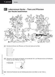 Berandaim schnee tierspuren rätsel arbeitsblatt : Ahnliches Foto Stockwerke Des Waldes Grundschule Umweltbildung