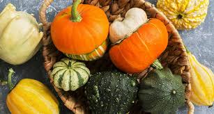 Is zucchini bad for cats. 6 Best Vegetables For Cats Carrots Peas Squash And More Bechewy