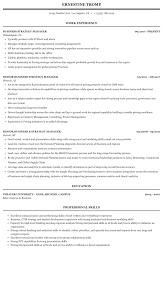 I've been through this, too. Business Strategy Manager Resume Sample Mintresume