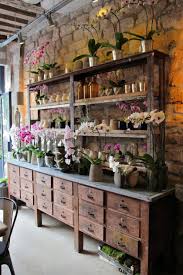 Pin On Plants And Gardens Plantas Y Jardines