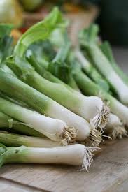 Super fresh leeks from a farmers market will keep up to ten days; Freezing Leeks A Step By Step Tutorial Lady Lee S Home