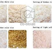 What is Rice Color Sorter and How to Use Rice Sorting Machine