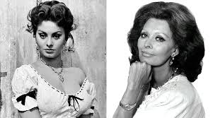 Check out photogallery with 905 sophia loren pictures. Why Olive Oil Is Sophia Loren S Anti Aging Beauty Secret The Beauty Block