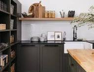Olive Green Pantry Cabinets Design Ideas