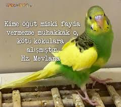 Kim Kotu Ve Cirkin Bir Is Gorurse Onu Eliyle Duzeltsin Eger Buna Gucu Yetmiyorsa Diliyle Duzeltsin Buna Da Gucu Yetmezse Kalb Iman Ozlu Sozler Alinti Sozler