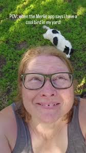 When the Merlin app says i have a cool bird in the yard, and I need to see  it, not just hear it. #Alberta #merlinbirdapp #birds #backyardbirds