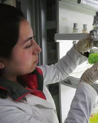 HOW TO MAKE CLIMATE COVERAGE PERSONAL, RELEVANT, AND URGENT